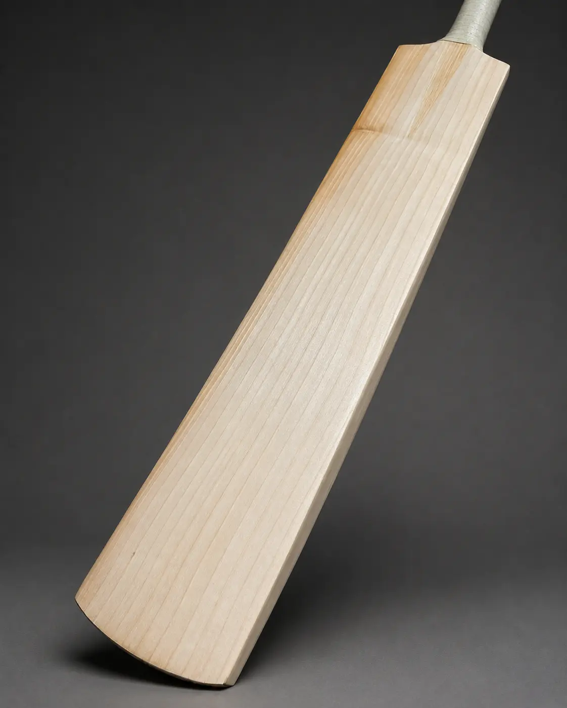 Monster Series from Sialkot Cricket Kits